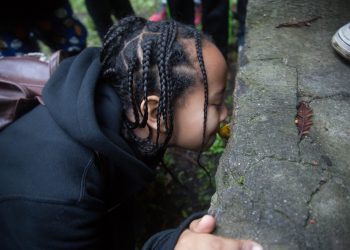 Children & Nature Network